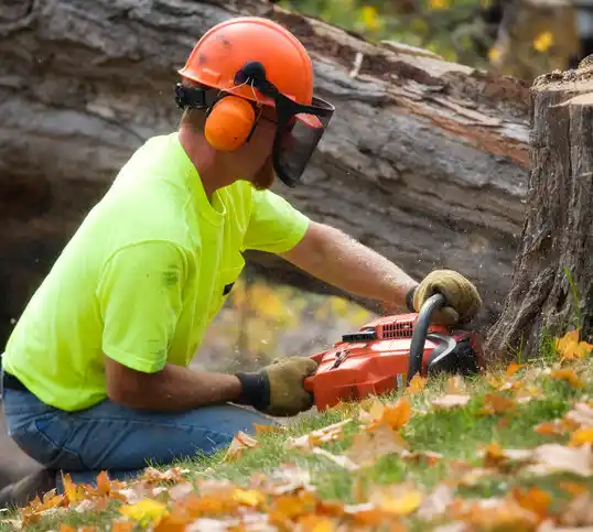 tree services DeRidder